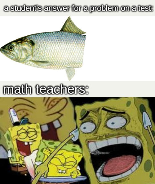 a student's answer for a problem on a test:; math teachers: | image tagged in school,memes | made w/ Imgflip meme maker