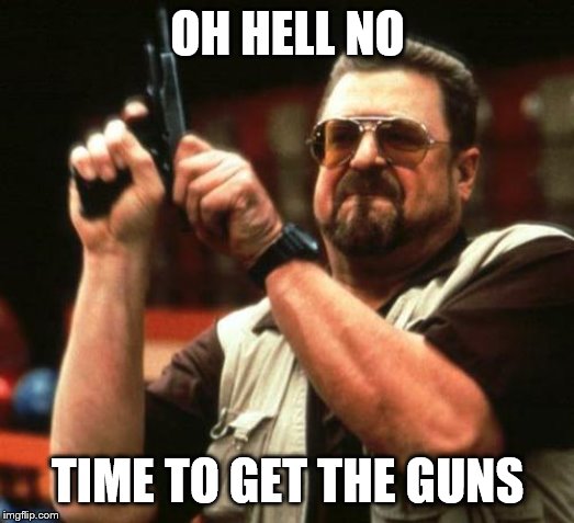 gun | OH HELL NO TIME TO GET THE GUNS | image tagged in gun | made w/ Imgflip meme maker