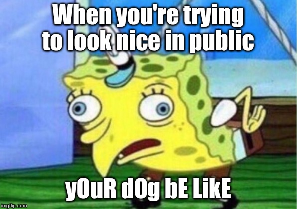 Mocking Spongebob Meme | When you're trying to look nice in public; yOuR dOg bE LikE | image tagged in memes,mocking spongebob | made w/ Imgflip meme maker