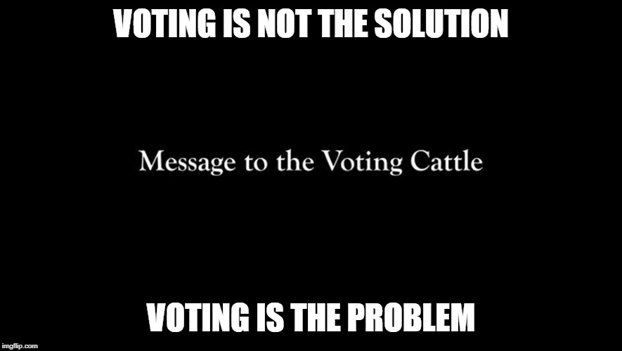 Voting is the Problem | VOTING IS NOT THE SOLUTION; VOTING IS THE PROBLEM | image tagged in fools | made w/ Imgflip meme maker