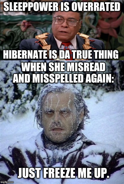 SLEEPPOWER IS OVERRATED HIBERNATE IS DA TRUE THING WHEN SHE MISREAD AND MISSPELLED AGAIN: JUST FREEZE ME UP. | image tagged in frozen guy,king jaffe coming to america overrated | made w/ Imgflip meme maker