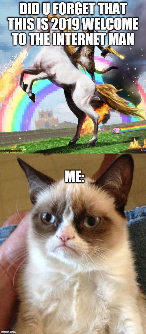 me: *says yolo* | DID U FORGET THAT THIS IS 2019 WELCOME TO THE INTERNET MAN; ME: | image tagged in memes,grumpy cat,welcome to the internets | made w/ Imgflip meme maker