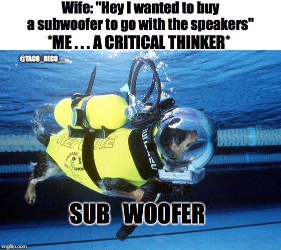 Sub Woofer | Wife: "Hey I wanted to buy a subwoofer to go with the speakers"; *ME . . . A CRITICAL THINKER*; @TACO_RECO__; SUB   WOOFER | image tagged in dog,memes,funny | made w/ Imgflip meme maker