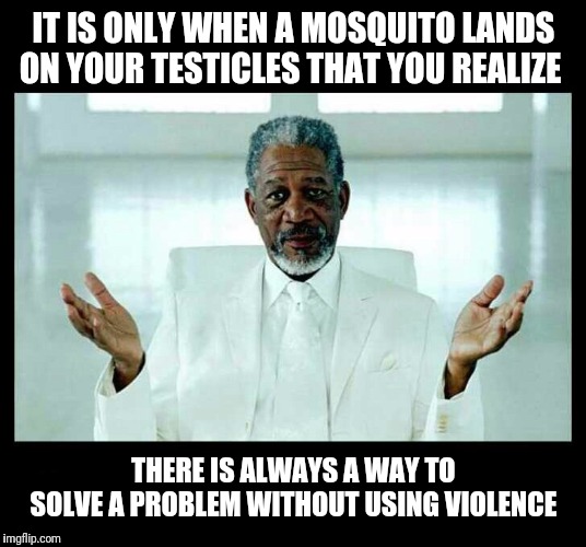 IT IS ONLY WHEN A MOSQUITO LANDS ON YOUR TESTICLES THAT YOU REALIZE; THERE IS ALWAYS A WAY TO SOLVE A PROBLEM WITHOUT USING VIOLENCE | image tagged in violence is never the answer | made w/ Imgflip meme maker