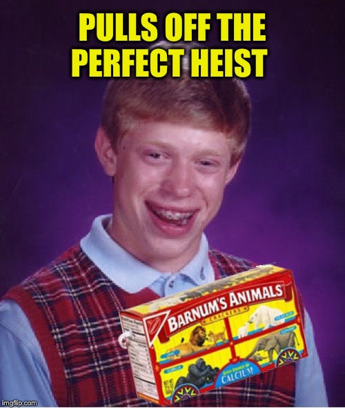 Bad Luck Brian Meme | PULLS OFF THE PERFECT HEIST | image tagged in memes,bad luck brian | made w/ Imgflip meme maker