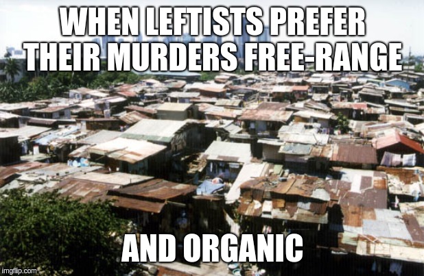 detroit slums | WHEN LEFTISTS PREFER THEIR MURDERS FREE-RANGE AND ORGANIC | image tagged in detroit slums | made w/ Imgflip meme maker