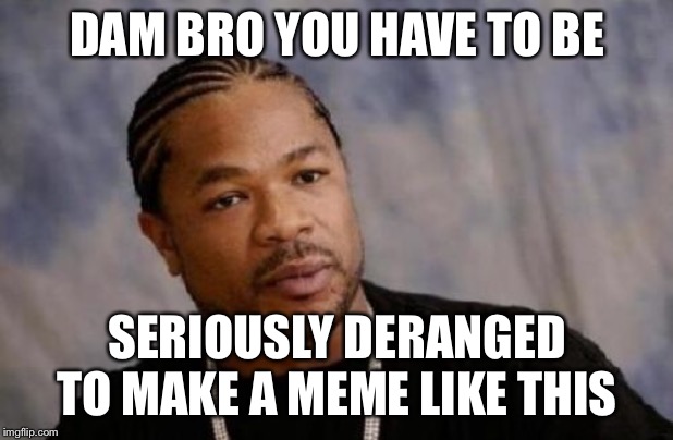Serious Xzibit Meme | DAM BRO YOU HAVE TO BE SERIOUSLY DERANGED TO MAKE A MEME LIKE THIS | image tagged in memes,serious xzibit | made w/ Imgflip meme maker