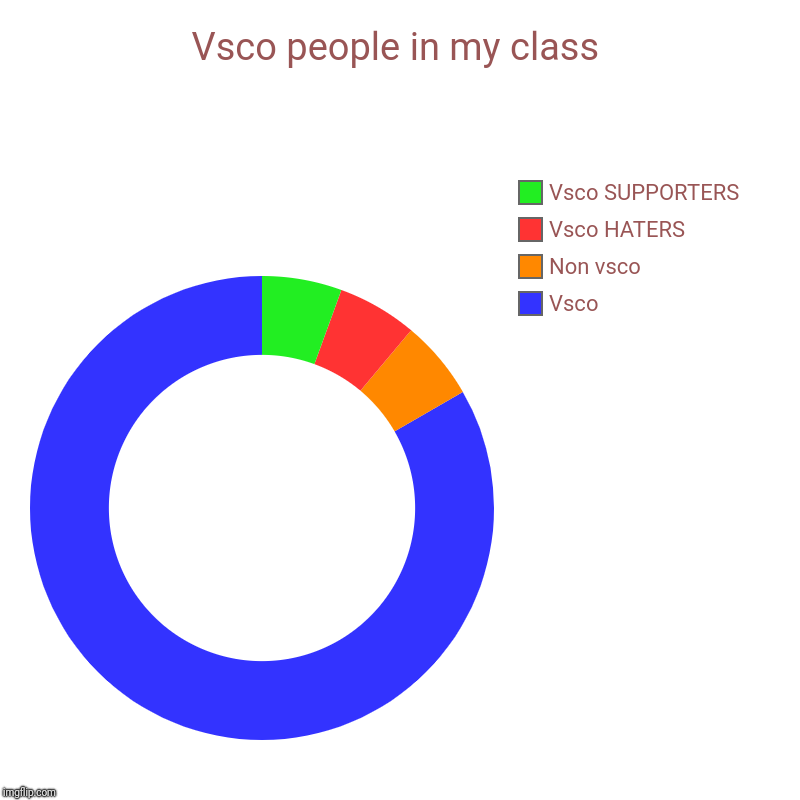 Vsco people in my class | Vsco, Non vsco, Vsco HATERS, Vsco SUPPORTERS | image tagged in charts,donut charts | made w/ Imgflip chart maker