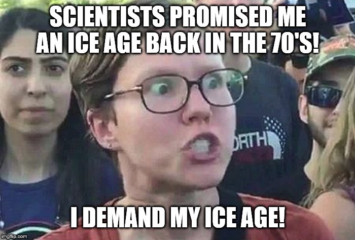 meme angry woman | SCIENTISTS PROMISED ME AN ICE AGE BACK IN THE 70'S! I DEMAND MY ICE AGE! | image tagged in meme angry woman | made w/ Imgflip meme maker