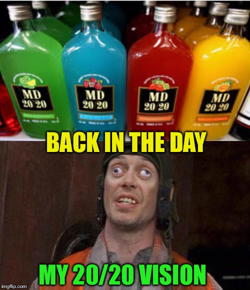 BACK IN THE DAY MY 20/20 VISION | image tagged in looks good to me | made w/ Imgflip meme maker