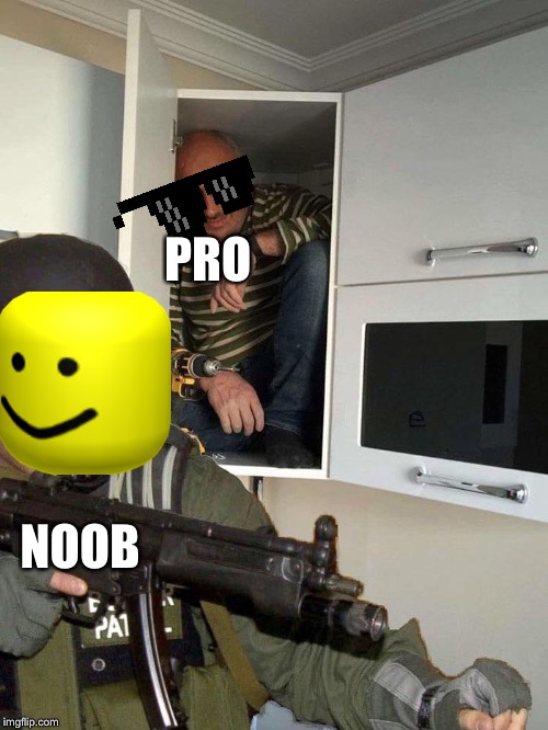 Man hiding in cabinet | PRO; NOOB | image tagged in man hiding in cabinet | made w/ Imgflip meme maker