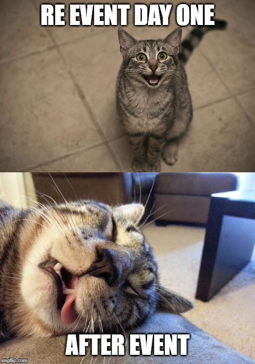 excited exhausted cats | RE EVENT DAY ONE; AFTER EVENT | image tagged in excited exhausted cats | made w/ Imgflip meme maker