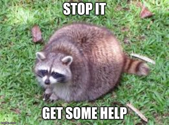 Help | STOP IT; GET SOME HELP | image tagged in funny,racoon,fat | made w/ Imgflip meme maker