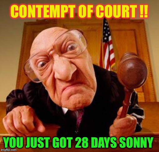Mean Judge | CONTEMPT OF COURT !! YOU JUST GOT 28 DAYS SONNY | image tagged in mean judge | made w/ Imgflip meme maker