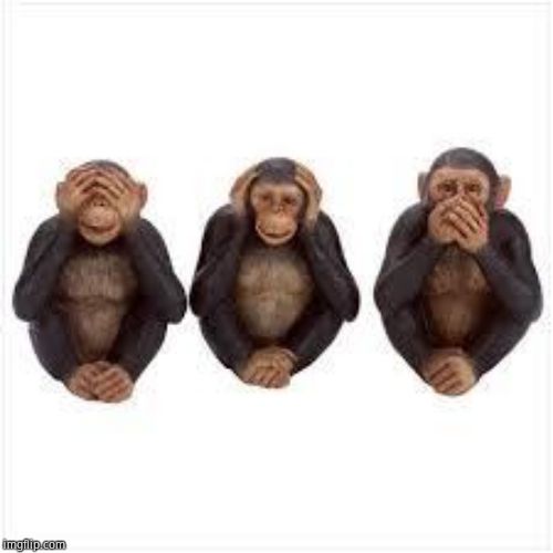 See no Evil Hear no Evil Speak no Evil | image tagged in see no evil hear no evil speak no evil | made w/ Imgflip meme maker