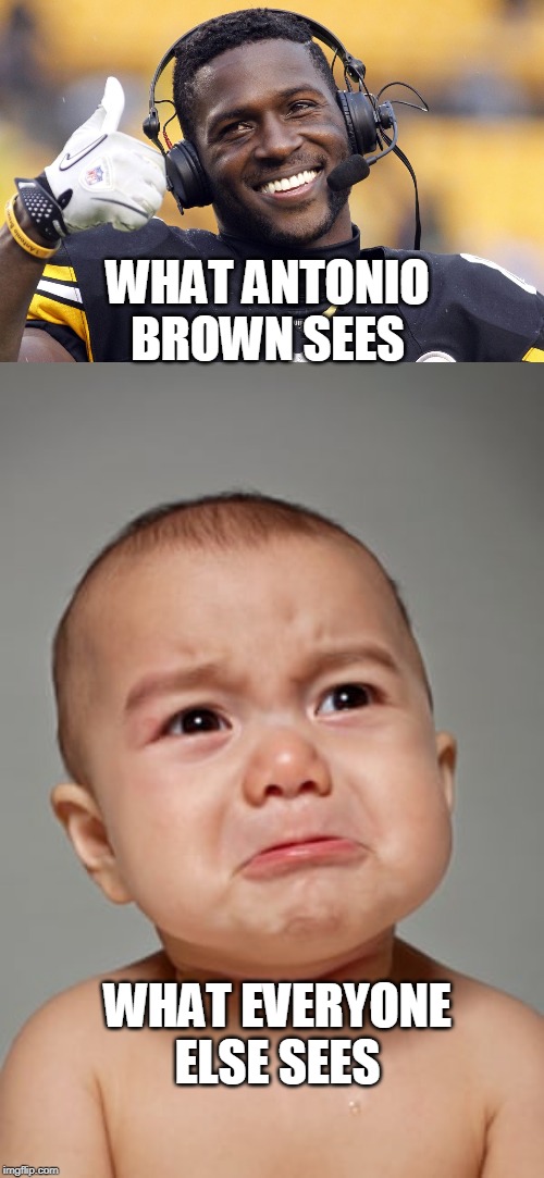 WHAT ANTONIO BROWN SEES; WHAT EVERYONE ELSE SEES | image tagged in antonio brown | made w/ Imgflip meme maker