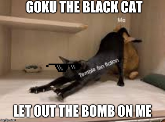 goku the dark cat | GOKU THE BLACK CAT; LET OUT THE BOMB ON ME | image tagged in funny | made w/ Imgflip meme maker