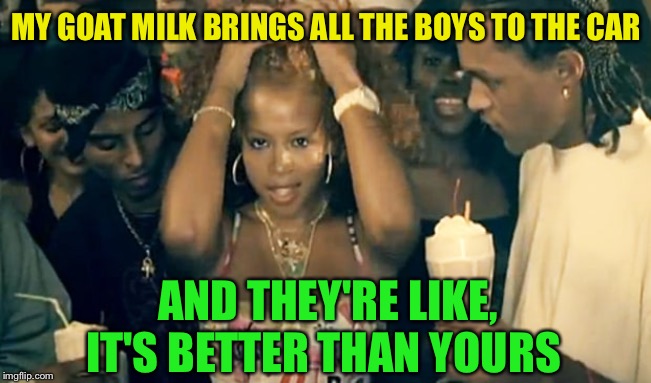 Kelis Milkshake | MY GOAT MILK BRINGS ALL THE BOYS TO THE CAR AND THEY'RE LIKE, IT'S BETTER THAN YOURS | image tagged in kelis milkshake | made w/ Imgflip meme maker