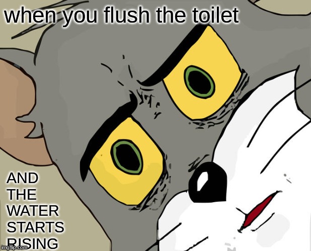 Unsettled Tom | when you flush the toilet; AND THE WATER STARTS RISING | image tagged in memes,unsettled tom | made w/ Imgflip meme maker