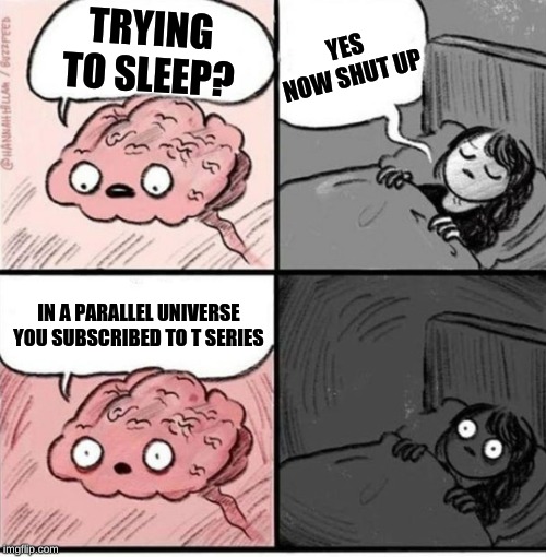 Trying to sleep | TRYING TO SLEEP? YES NOW SHUT UP; IN A PARALLEL UNIVERSE YOU SUBSCRIBED TO T SERIES | image tagged in trying to sleep | made w/ Imgflip meme maker