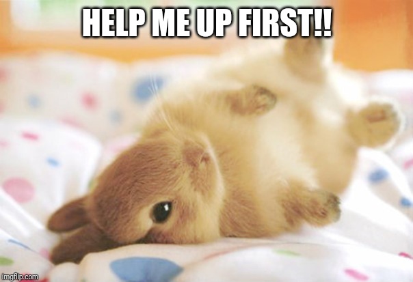 cute bunny | HELP ME UP FIRST!! | image tagged in cute bunny | made w/ Imgflip meme maker