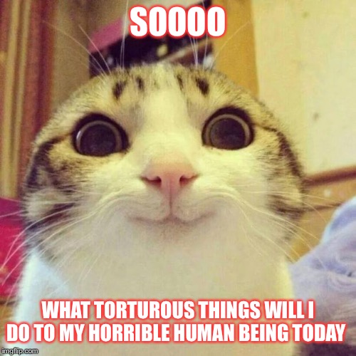 Smiling Cat | SOOOO; WHAT TORTUROUS THINGS WILL I DO TO MY HORRIBLE HUMAN BEING TODAY | image tagged in memes,smiling cat | made w/ Imgflip meme maker