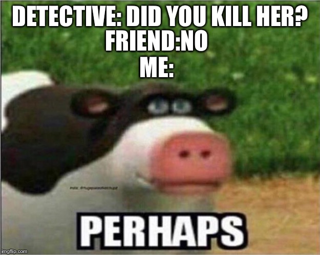 Perhaps Cow | DETECTIVE: DID YOU KILL HER? FRIEND:NO

ME: | image tagged in perhaps cow | made w/ Imgflip meme maker