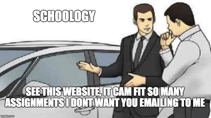 Car Salesman Slaps Roof Of Car | SCHOOLOGY; SEE THIS WEBSITE, IT CAM FIT SO MANY ASSIGNMENTS I DONT WANT YOU EMAILING TO ME | image tagged in memes,car salesman slaps roof of car | made w/ Imgflip meme maker