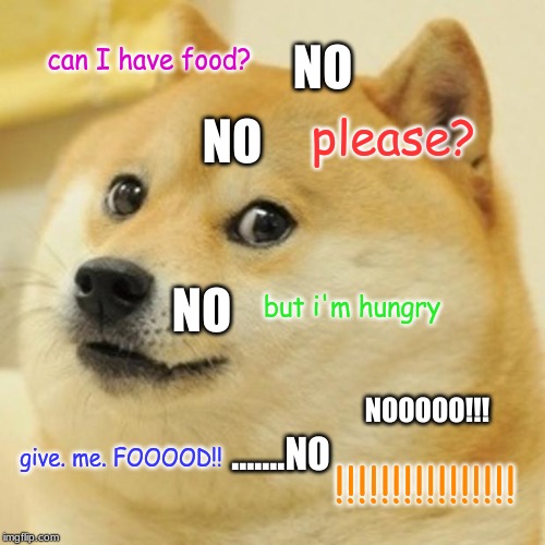 Doge | NO; can I have food? NO; please? NO; but i'm hungry; NOOOOO!!! .......NO; give. me. FOOOOD!! !!!!!!!!!!!!!!!! | image tagged in memes,doge | made w/ Imgflip meme maker