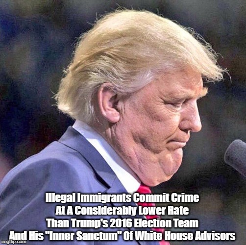 Illegal Immigrants Commit Crime 
At A Considerably Lower Rate 
Than Trump's 2016 Election Team 
And His "Inner Sanctum" Of White House Advis | made w/ Imgflip meme maker