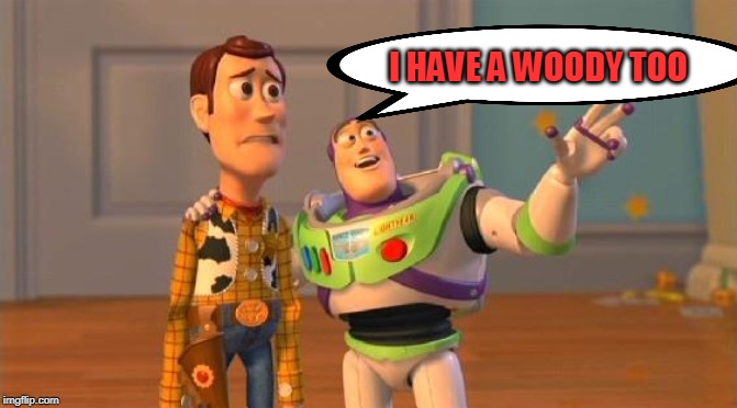 TOYSTORY EVERYWHERE | I HAVE A WOODY TOO | image tagged in toystory everywhere | made w/ Imgflip meme maker