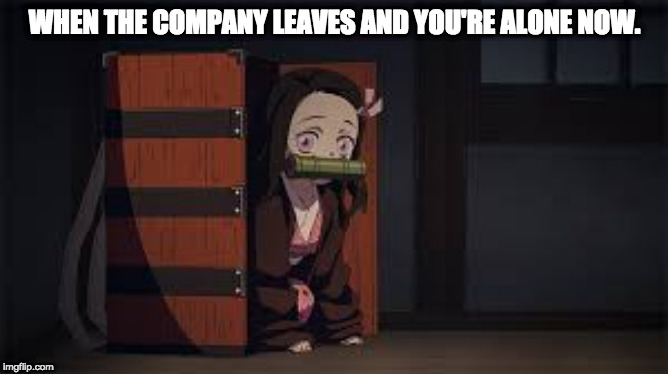 Antisocial People be Like | WHEN THE COMPANY LEAVES AND YOU'RE ALONE NOW. | image tagged in demon slayer nezuko,demon slayer,anime,memes,nezuko | made w/ Imgflip meme maker
