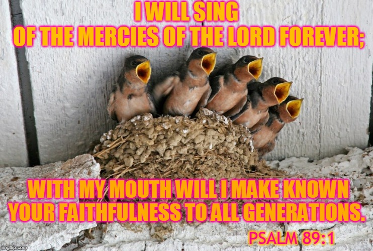 I WILL SING 
OF THE MERCIES OF THE LORD FOREVER;; WITH MY MOUTH WILL I MAKE KNOWN YOUR FAITHFULNESS TO ALL GENERATIONS. PSALM 89:1 | made w/ Imgflip meme maker