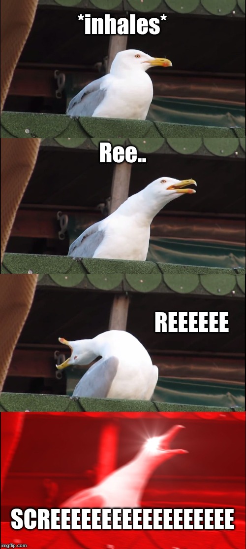 Inhaling Seagull | *inhales*; Ree.. REEEEEE; SCREEEEEEEEEEEEEEEEEE | image tagged in memes,inhaling seagull | made w/ Imgflip meme maker