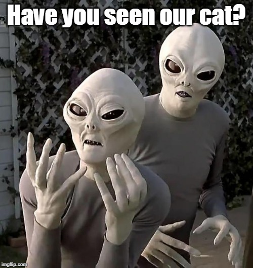 Aliens | Have you seen our cat? | image tagged in aliens | made w/ Imgflip meme maker