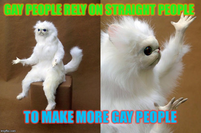Persian Cat Room Guardian | GAY PEOPLE RELY ON STRAIGHT PEOPLE; TO MAKE MORE GAY PEOPLE | image tagged in memes,persian cat room guardian | made w/ Imgflip meme maker