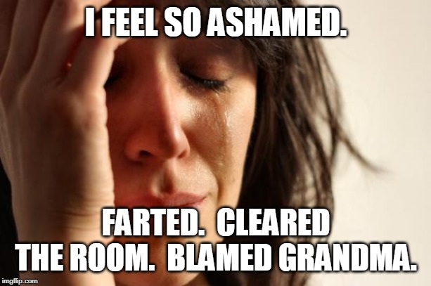 First World Problems Meme | I FEEL SO ASHAMED. FARTED.  CLEARED THE ROOM.  BLAMED GRANDMA. | image tagged in memes,first world problems | made w/ Imgflip meme maker