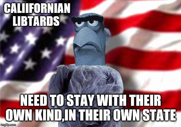 CALIIFORNIAN LIBTARDS NEED TO STAY WITH THEIR OWN KIND,IN THEIR OWN STATE | made w/ Imgflip meme maker