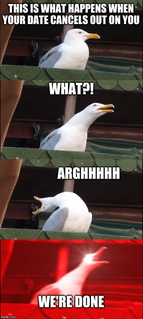 Inhaling Seagull Meme | THIS IS WHAT HAPPENS WHEN YOUR DATE CANCELS OUT ON YOU; WHAT?! ARGHHHHH; WE'RE DONE | image tagged in memes,inhaling seagull | made w/ Imgflip meme maker