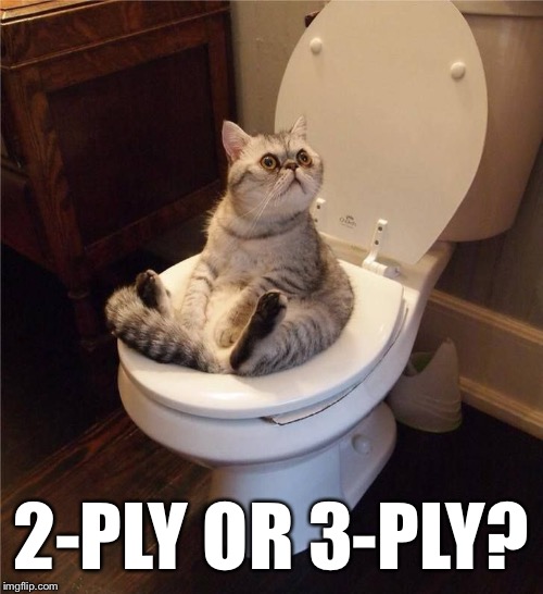 Which one do you use / prefer? | 2-PLY OR 3-PLY? | image tagged in memes,cats,toilet | made w/ Imgflip meme maker