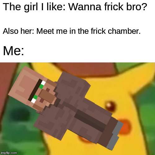 Surprised Pikachu | The girl I like: Wanna frick bro? Also her: Meet me in the frick chamber. Me: | image tagged in memes,surprised pikachu | made w/ Imgflip meme maker