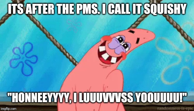 It's the phase after PMS; when she's extra cuddly and lovely, I call it "Squishy". It goes like this... | ITS AFTER THE PMS. I CALL IT SQUISHY; "HONNEEYYYY, I LUUUVVVSS YOOUUUU!" | image tagged in squishy,pms,love,i love you,hugging,cuddle | made w/ Imgflip meme maker