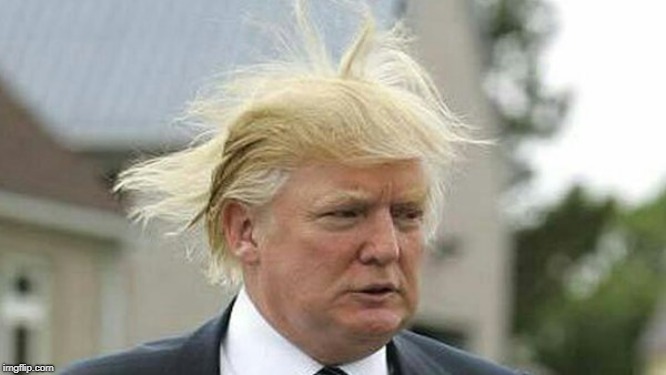 Trump Hair | image tagged in trump hair | made w/ Imgflip meme maker