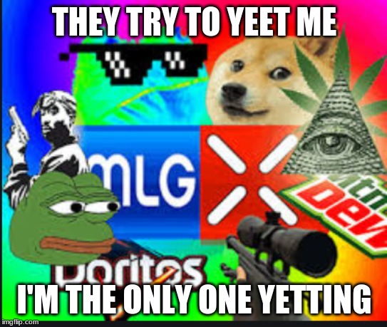 THE YEET | THEY TRY TO YEET ME; I'M THE ONLY ONE YETTING | image tagged in yeet | made w/ Imgflip meme maker