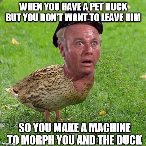 Skipper Duck | WHEN YOU HAVE A PET DUCK BUT YOU DON'T WANT TO LEAVE HIM; SO YOU MAKE A MACHINE TO MORPH YOU AND THE DUCK | image tagged in skipper duck | made w/ Imgflip meme maker