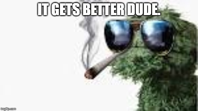 Oscar the Crouch marijuana | IT GETS BETTER DUDE. | image tagged in oscar the crouch marijuana | made w/ Imgflip meme maker