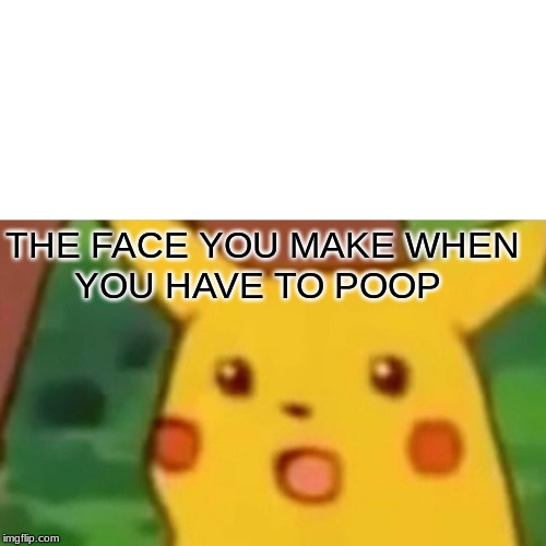 Surprised Pikachu | THE FACE YOU MAKE WHEN 
       YOU HAVE TO POOP | image tagged in memes,surprised pikachu | made w/ Imgflip meme maker