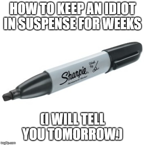 Sharpie | HOW TO KEEP AN IDIOT IN SUSPENSE FOR WEEKS; (I WILL TELL YOU TOMORROW.) | image tagged in sharpie | made w/ Imgflip meme maker