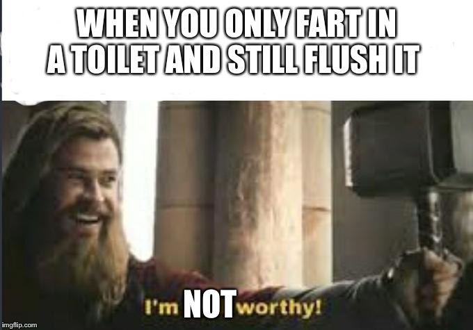 I’m still worthy! | WHEN YOU ONLY FART IN A TOILET AND STILL FLUSH IT; NOT | image tagged in im still worthy | made w/ Imgflip meme maker