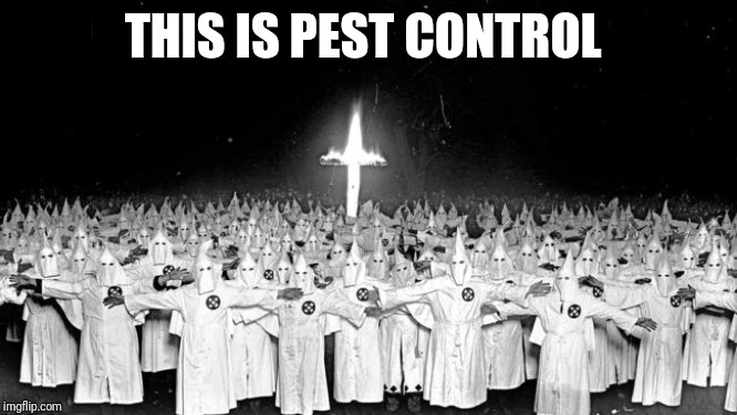 KKK | THIS IS PEST CONTROL | image tagged in kkk | made w/ Imgflip meme maker